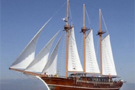 Bahriyeli D